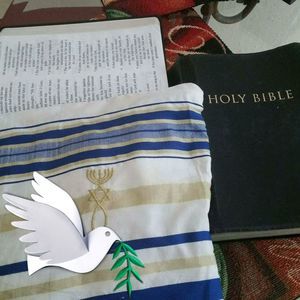 Meet your Posher, Nicky